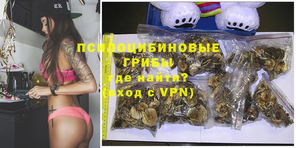 мдпв Бронницы