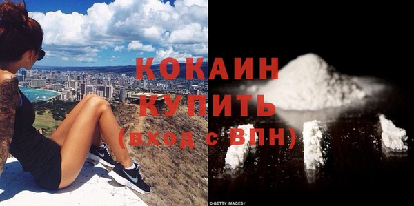 мдпв Бронницы
